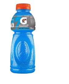 GatoradeBlueBoltFlavourSportsDrink(Bottle)1