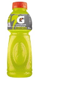 GatoradeLemonFlavourSportsDrink(Bottle)1